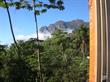 View from the train from Curitiba to the nearby ...